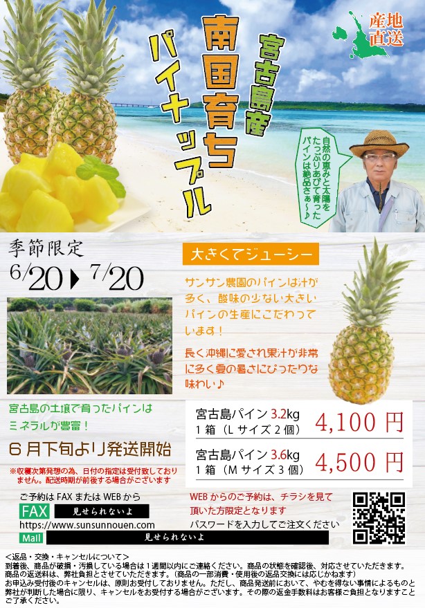 パイナップルチラシ